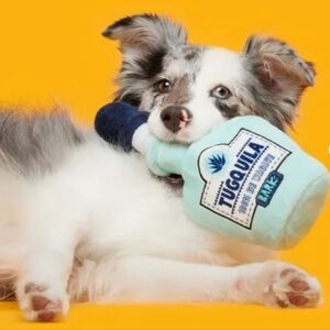 BARK Tug-O-Worm Tugquila Dog Toy